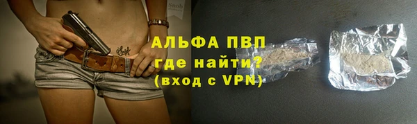 молекула духа Арсеньев