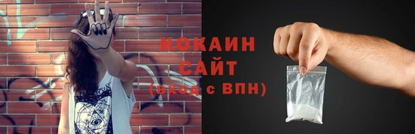 молекула духа Арсеньев
