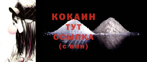 молекула духа Арсеньев