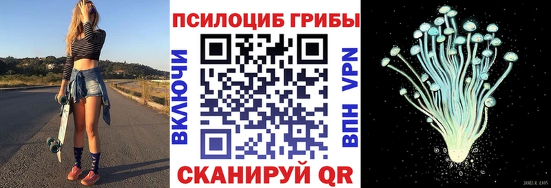 Псилоцибиновые грибы Psilocybe  кракен зеркало  Переславль-Залесский 
